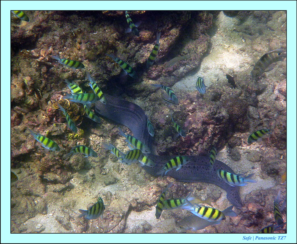 2013 - 01 - Koh Kai 07